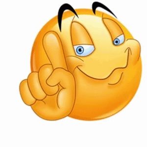 Meet your Posher, Sophia